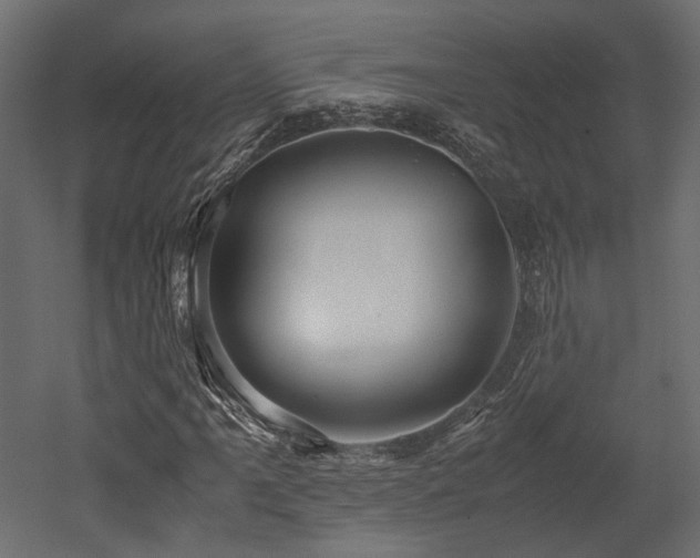 X0000052631061200507011314