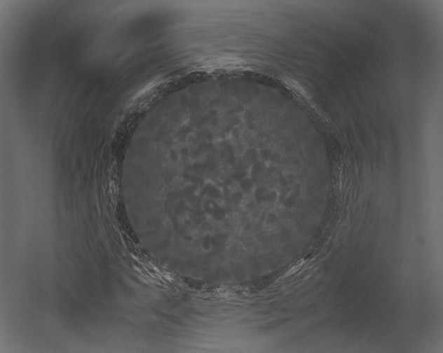 X0000052631063200507011314
