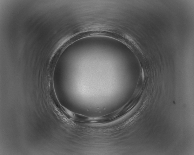 X0000052631069200507011314