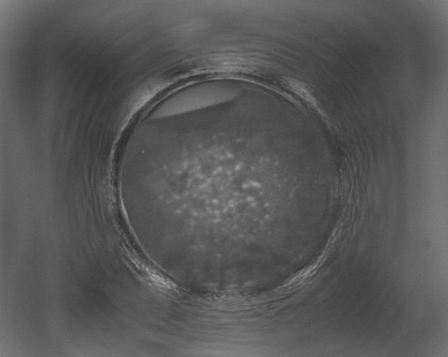 X0000052631071200507011314