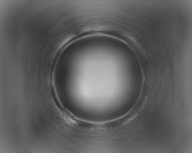 X0000052631073200507011314