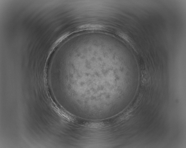X0000052631074200507011314