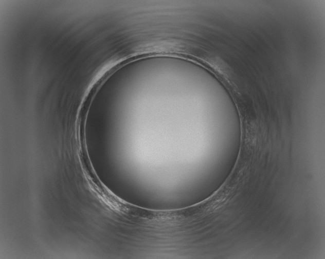 X0000052631078200507011314