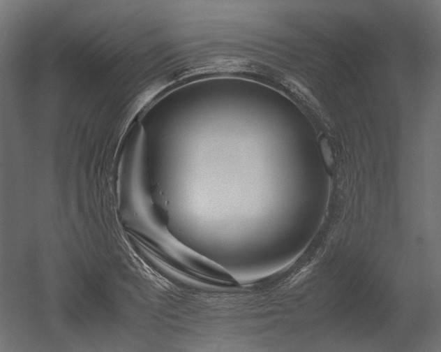 X0000052631081200507011314