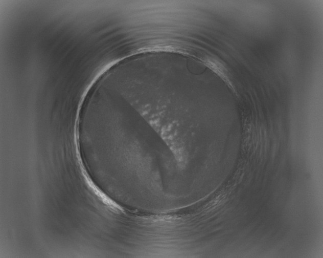 X0000052631084200507011314