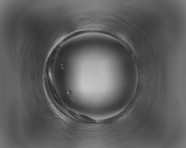 X0000052631085200507011314
