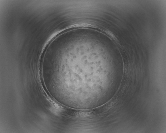 X0000052631086200507011314