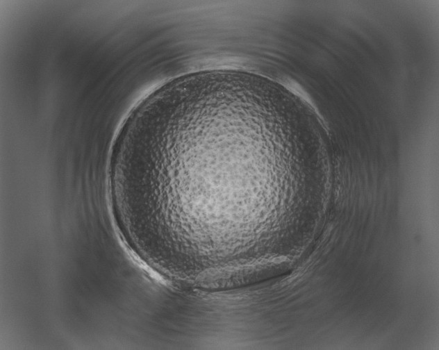 X0000052631088200507011313