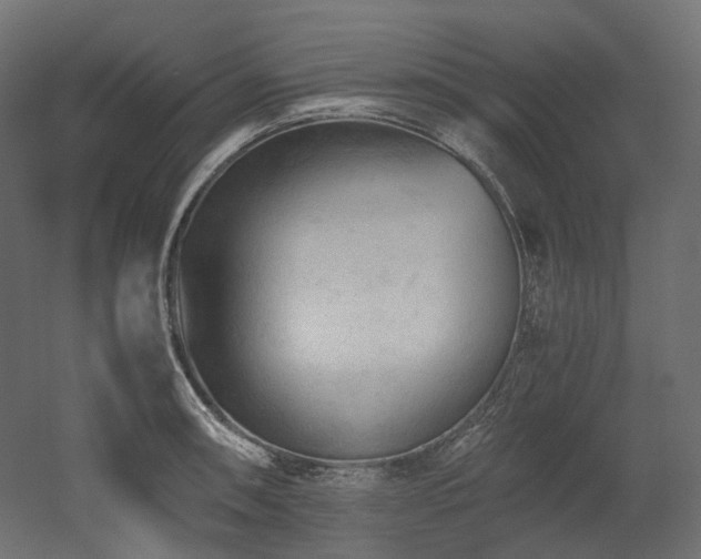 X0000052631090200507011313