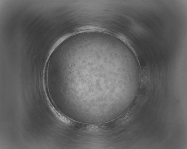 X0000052631098200507011313