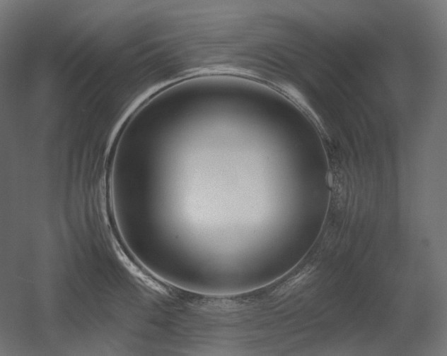 X0000052631100200507011313