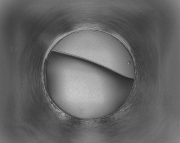X0000052631104200507011313