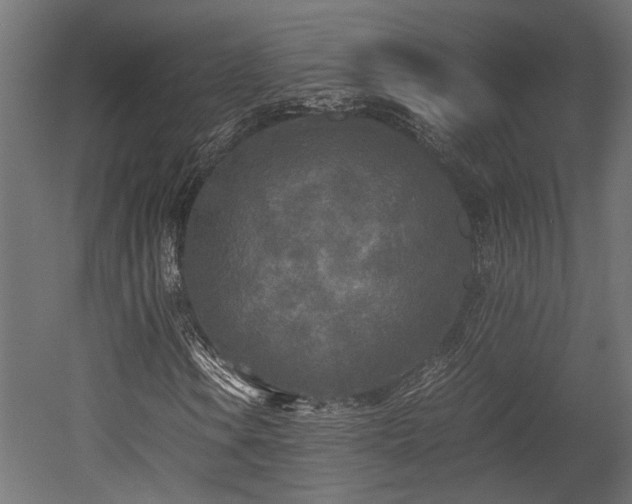X0000052631106200507011312