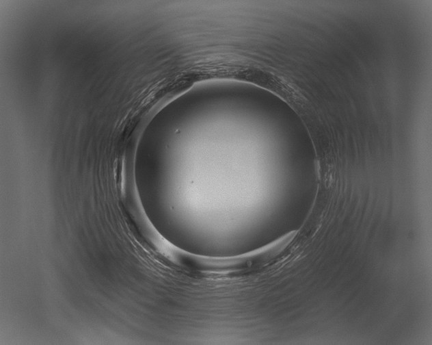 X0000052631108200507011312