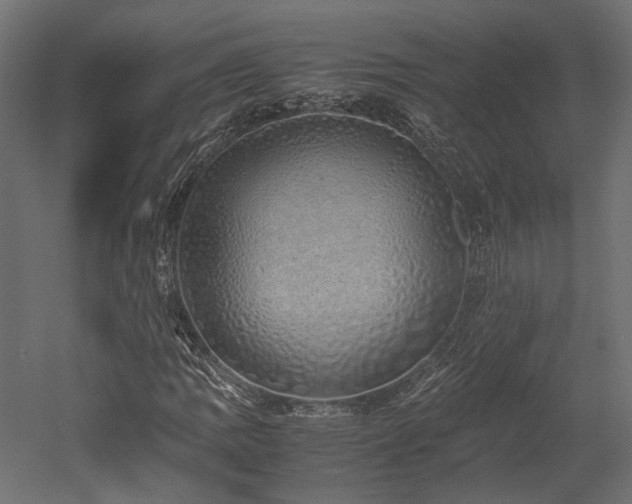 X0000052631109200507011312