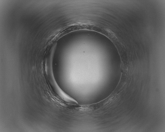 X0000052631110200507011312