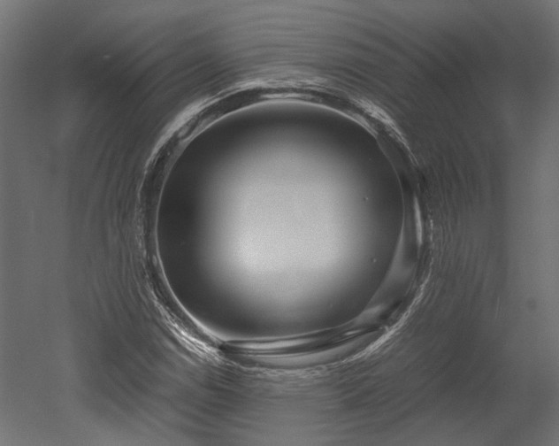 X0000052631114200507011313