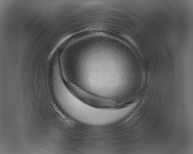 X0000052631115200507011313