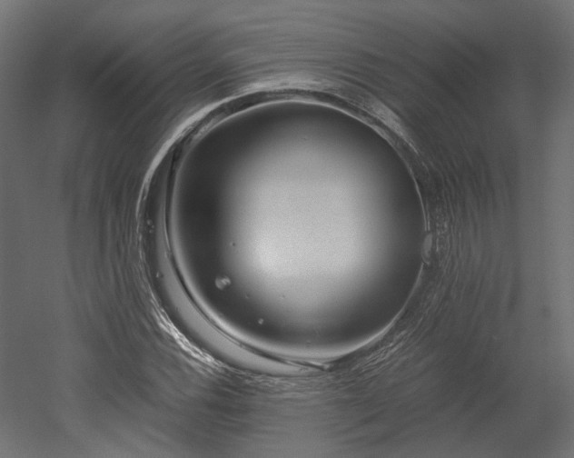 X0000052631116200507011313