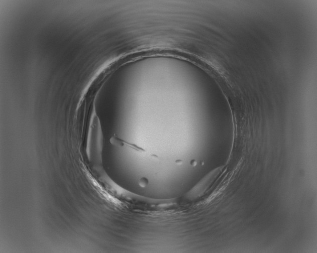 X0000052631118200507011313