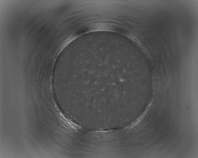 X0000052631121200507011313