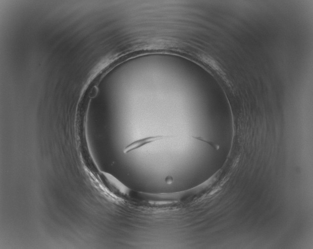 X0000052631122200507011313