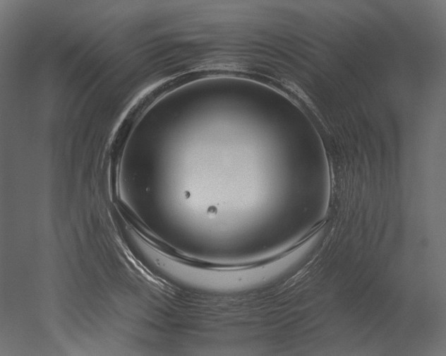 X0000052631123200507011313