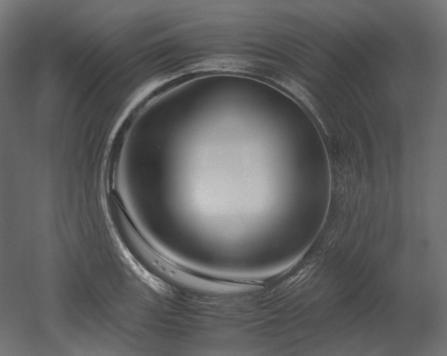 X0000052631131200507011313