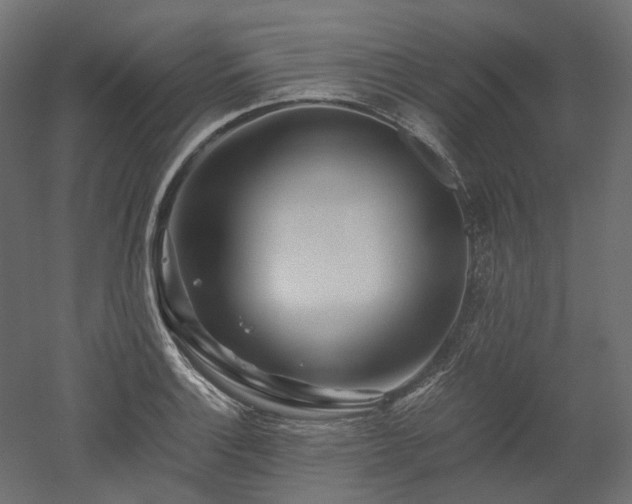 X0000052631132200507011313