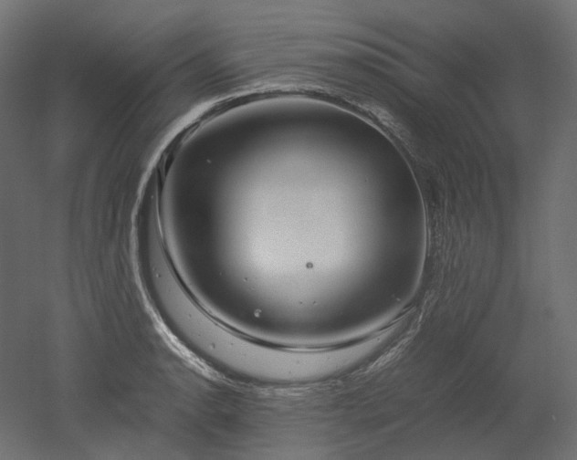X0000052631134200507011313
