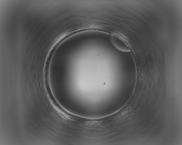 X0000052631135200507011313
