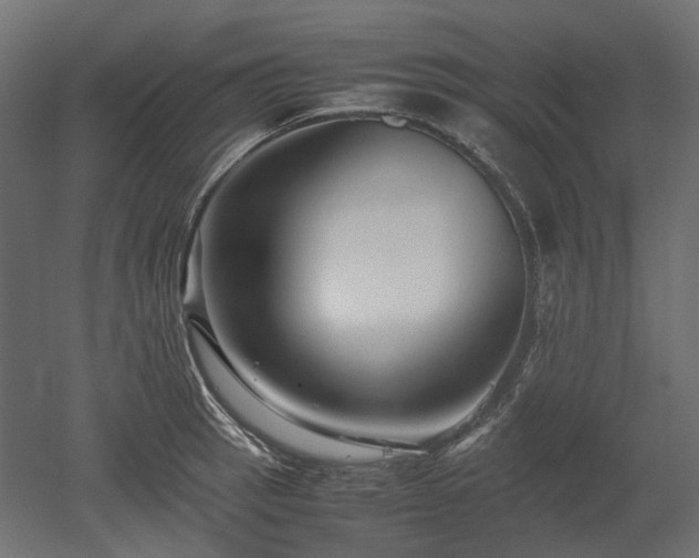 X0000052631137200507011313