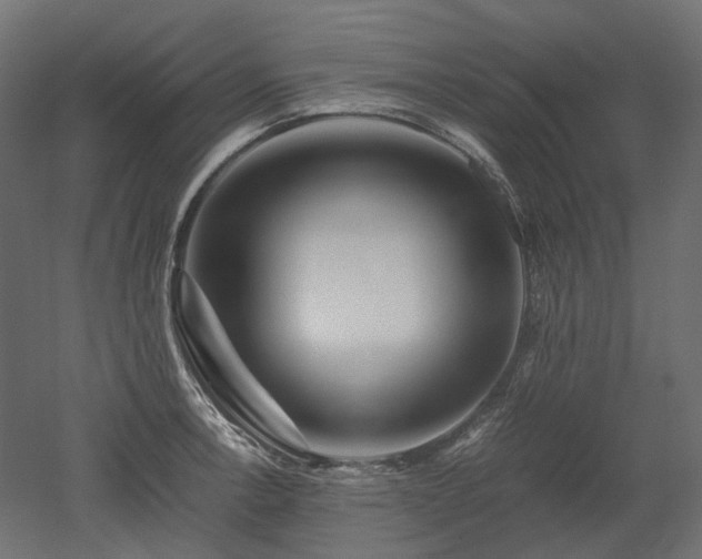 X0000052631138200507011313