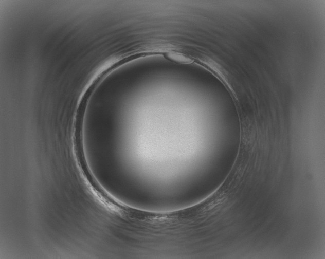 X0000052631139200507011313