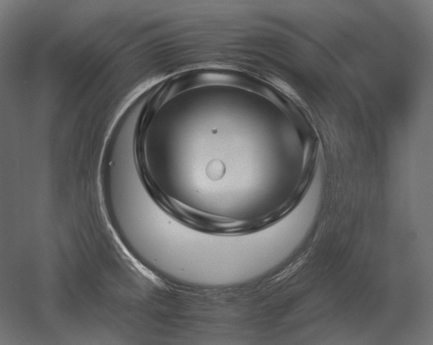 X0000052631141200507011313