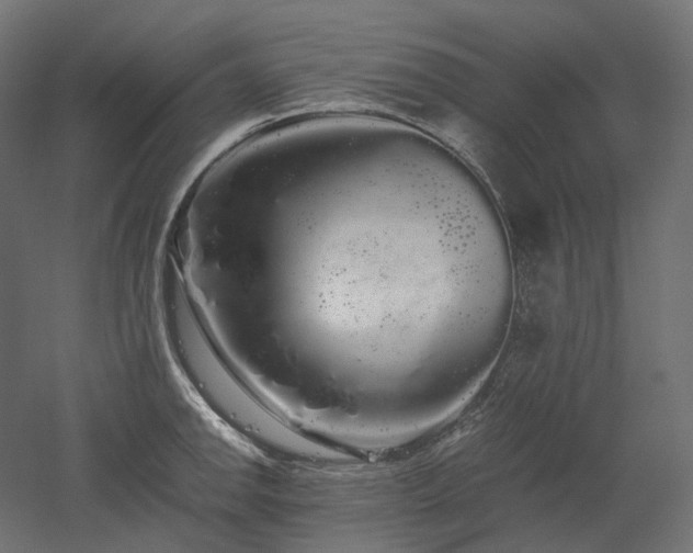 X0000052631142200507011313