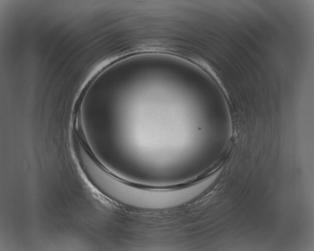 X0000052631147200507011313