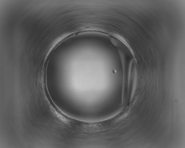 X0000052631149200507011313