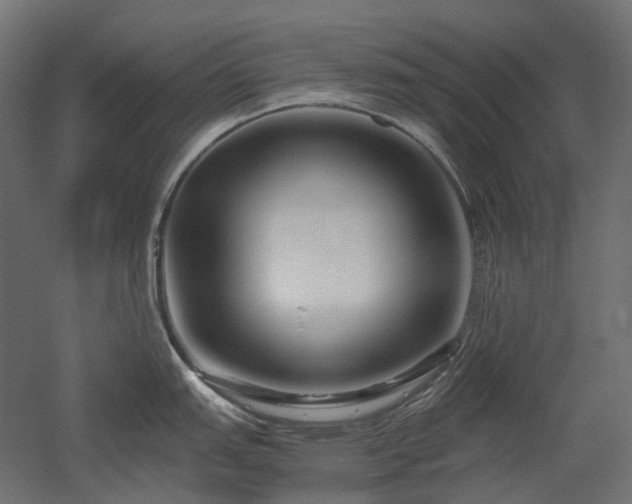 X0000052631151200507011313