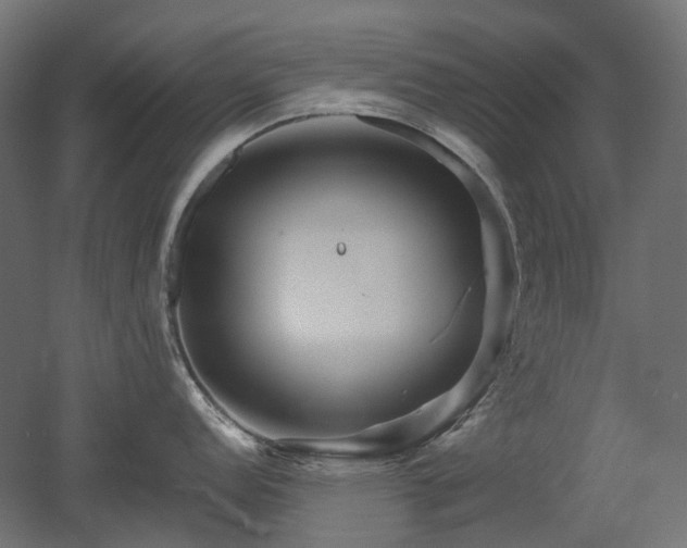X0000052631152200507011313