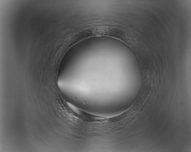 X0000052631153200507011312