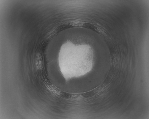 X0000052631154200507011312