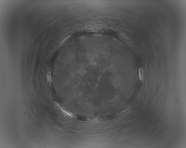 X0000052631155200507011312