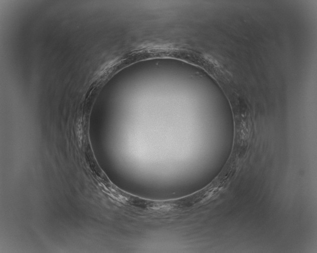 X0000052631157200507011312