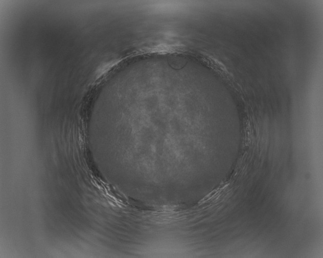 X0000052631158200507011312