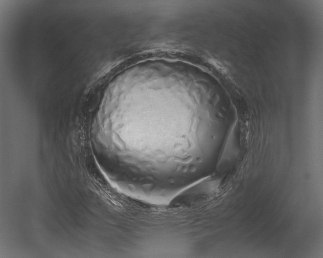 X0000052631159200507011312