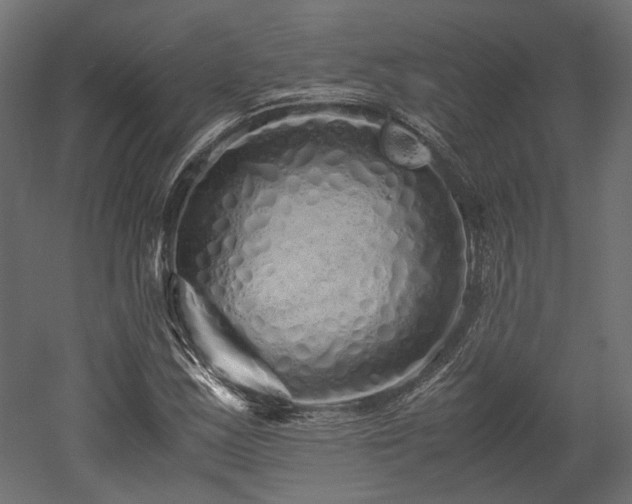 X0000052631163200507011312