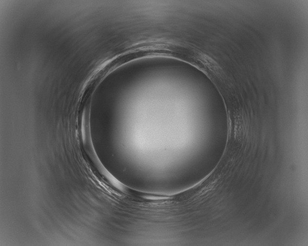 X0000052631164200507011312