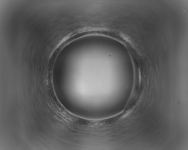 X0000052631165200507011312