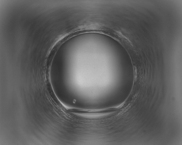 X0000052631166200507011312